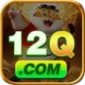 12q VIP Casino App